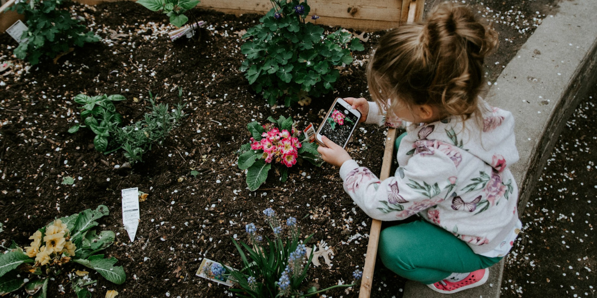 Bimba fa una foto ai fiori