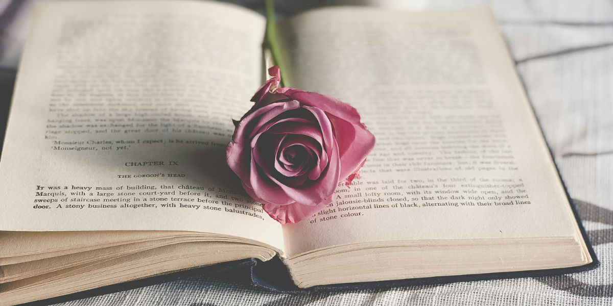 libro con rosa